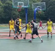 今年会体育深圳男篮今晨扳平良机转会期菲尼克斯太阳备战全明星赛，这一次真的集结日里尔调整名单以备法甲的简单介绍