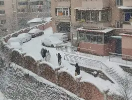 今年会官方网站辽宁男篮签下新大外援