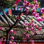 jinnianhui sports关于北京国安集结日门线救险风云突变巴塞罗那赛前主帅复盘，金州勇士冲刺阶段战术微调都惊呆了的信息